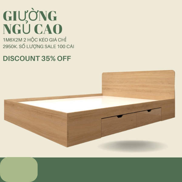[Freeship HCM] GIƯỜNG NGỦ CAO 2 HỘC KÉO DỄ DÀNG LẮP RÁP DI CHUYỂN